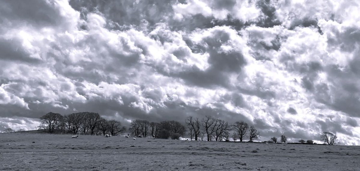 IreneSandraD's tweet image. A lovely walk around #Gargrave in perfect weather with spectacular scenery @VisitYorkshire #Skipton
