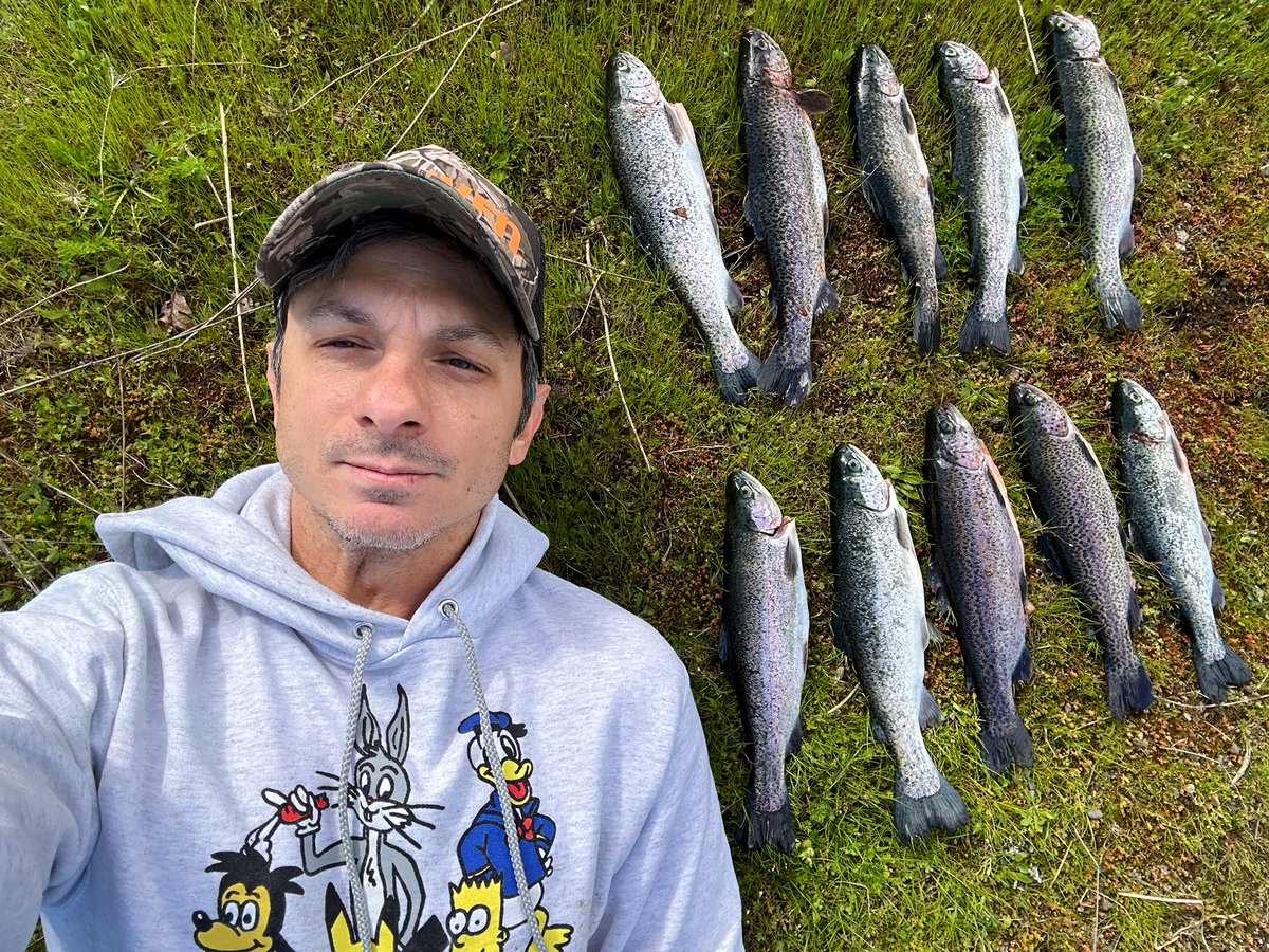 Mike Prysner tweet media