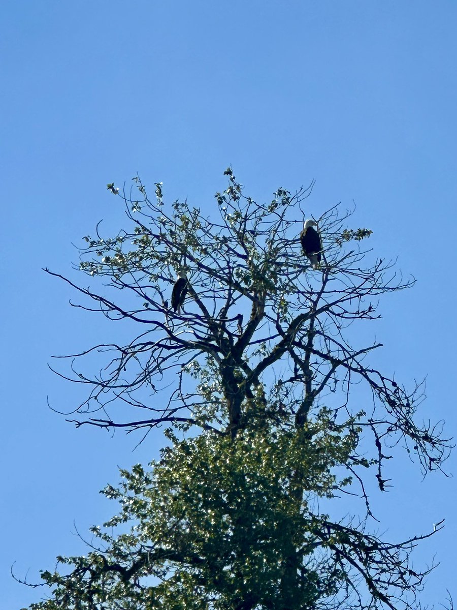 Mike Prysner tweet media