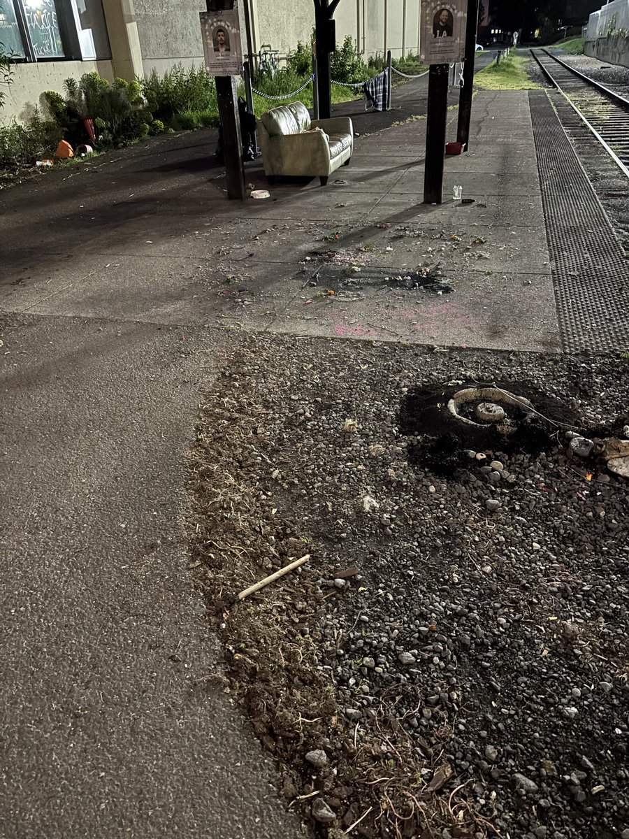 Dear Patriot tweet media