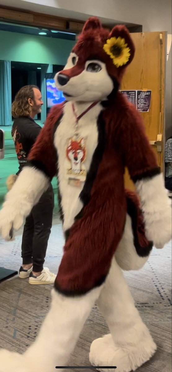 Squishmallow Photographer tweet media