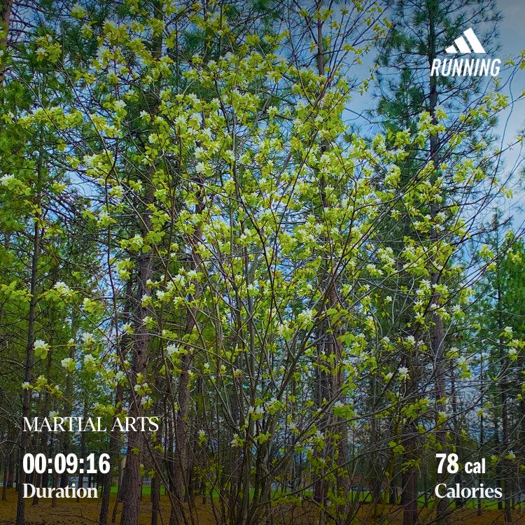 UkrainianGirl7's tweet image. When the spring time is upon us…
#spring 
#taichi