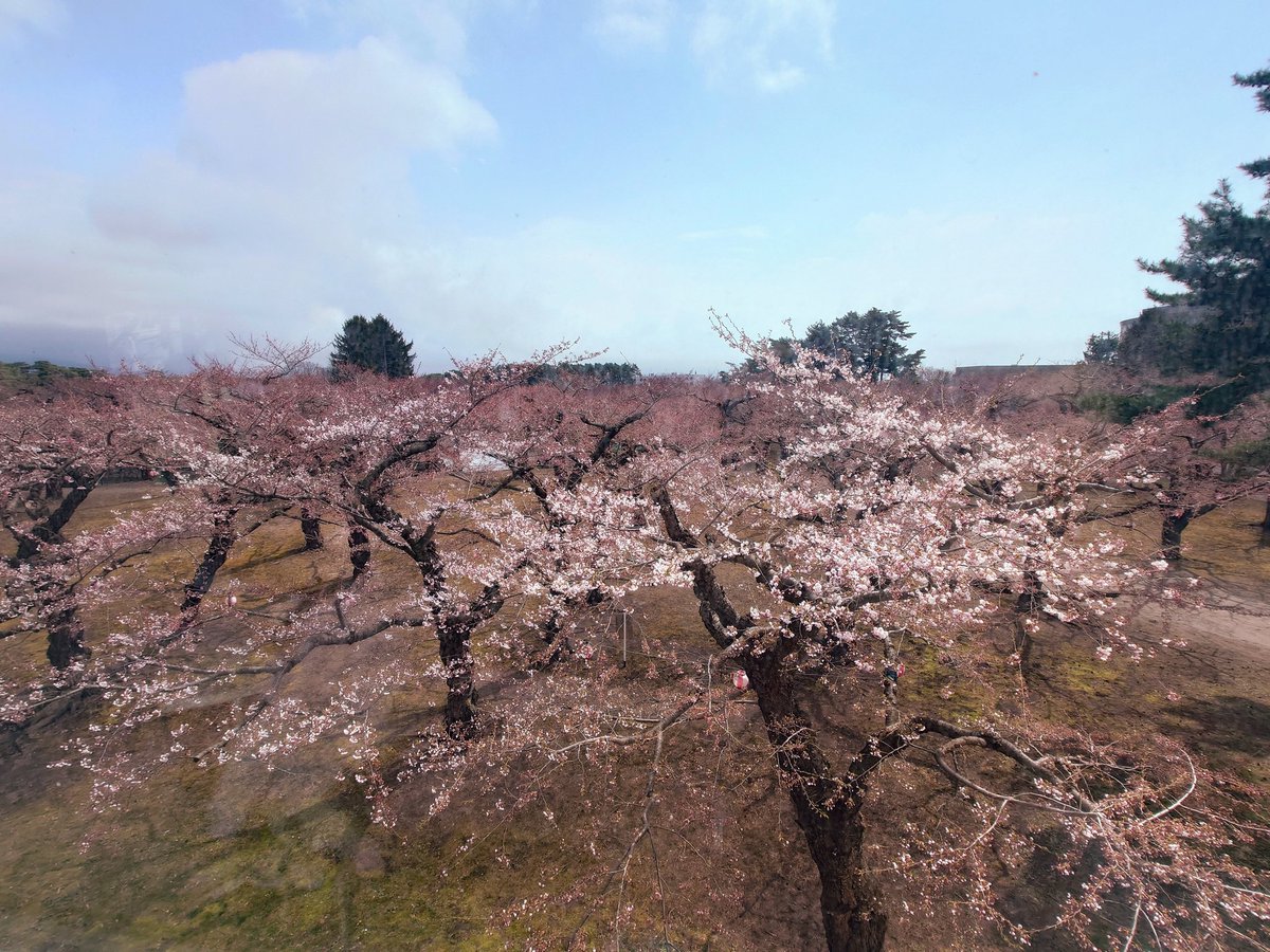 五稜郭タワー販売部【公式】 tweet media