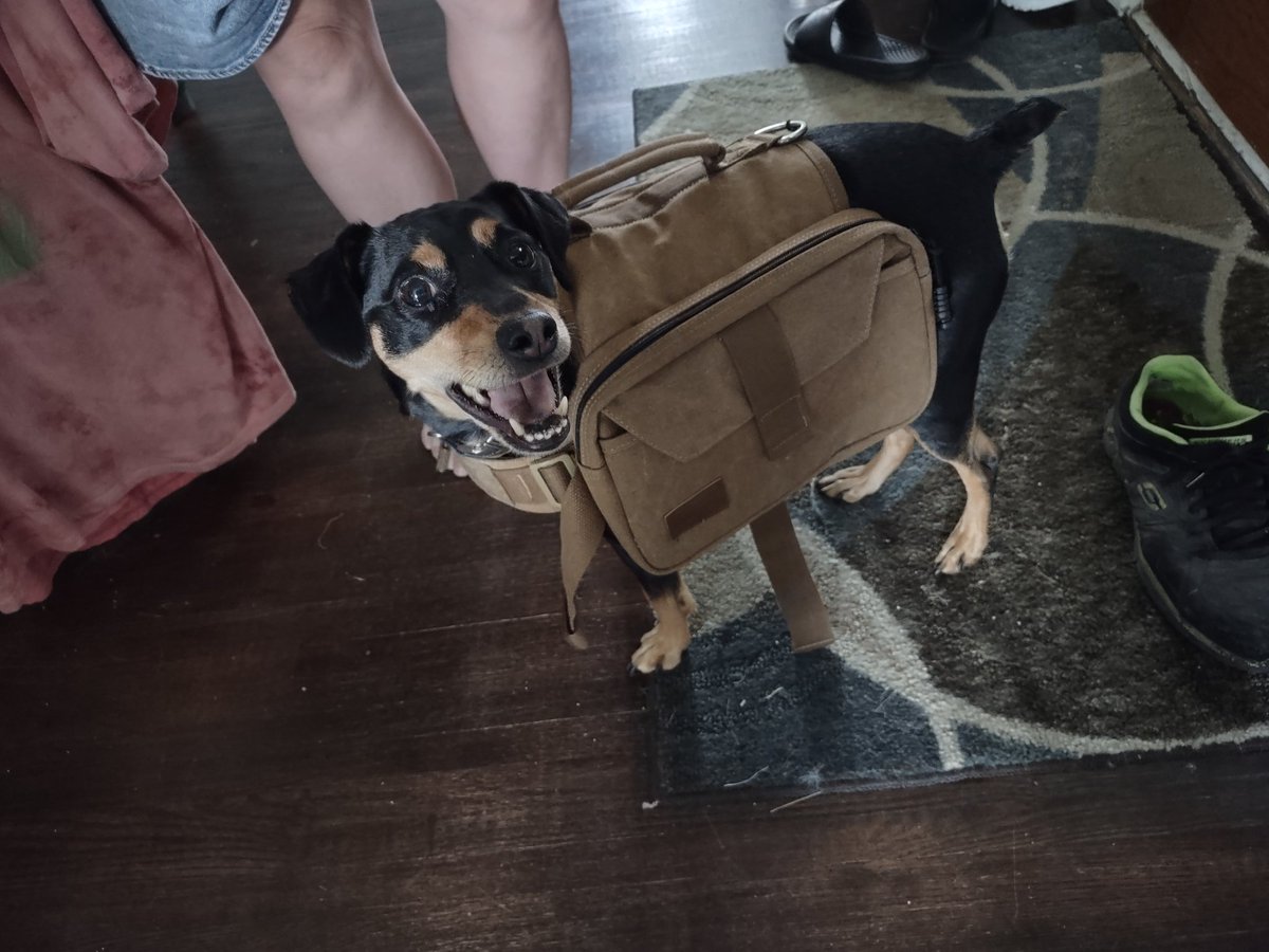 fripper509 tweet media