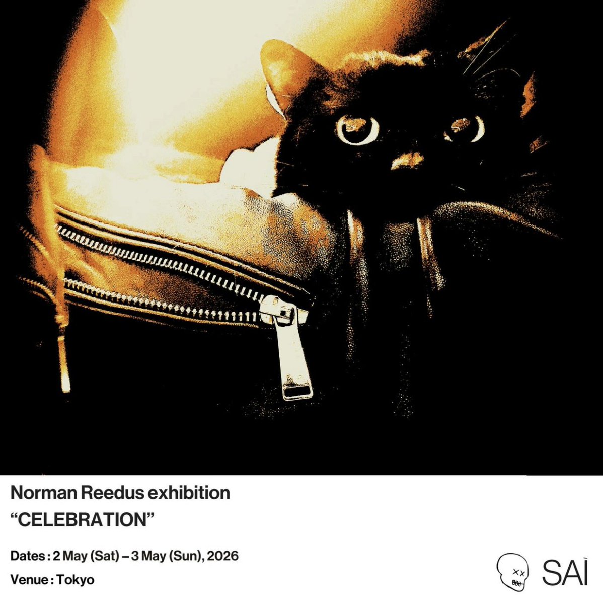 Big Bald Gallery tweet media