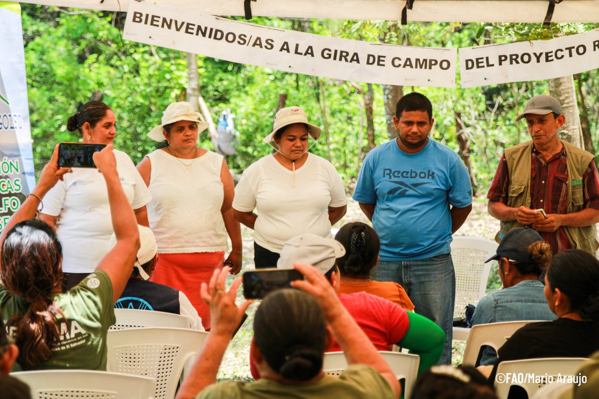 FAO El Salvador tweet media