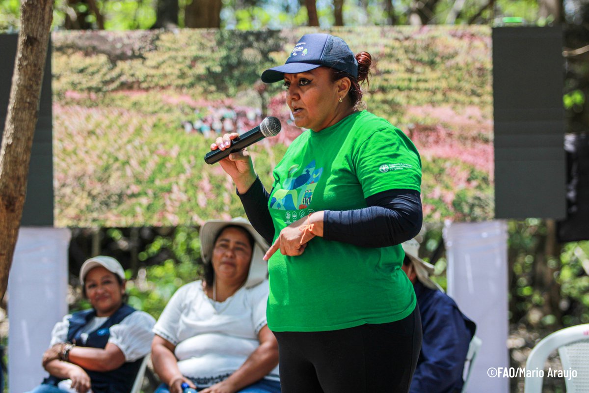 FAO El Salvador tweet media