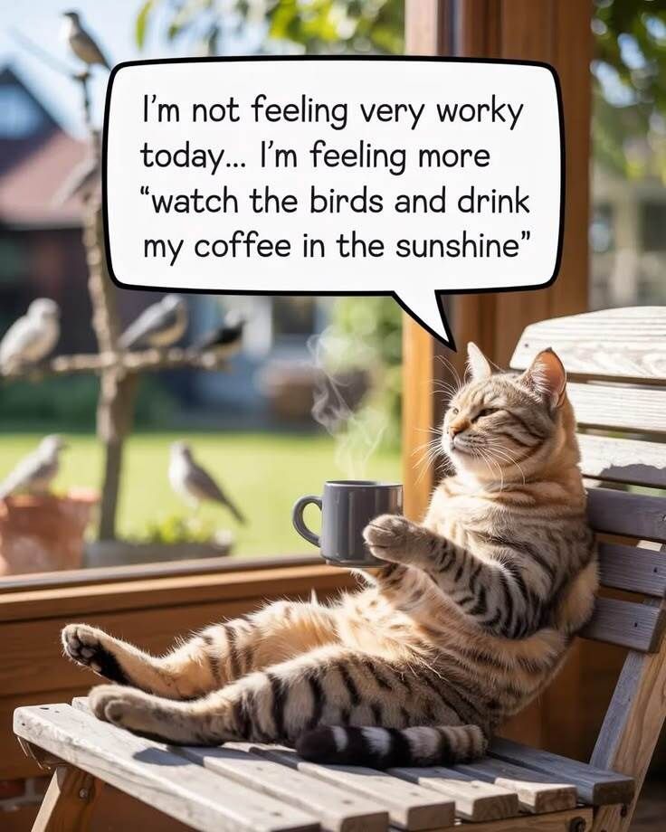 Miguel Lopez tweet media