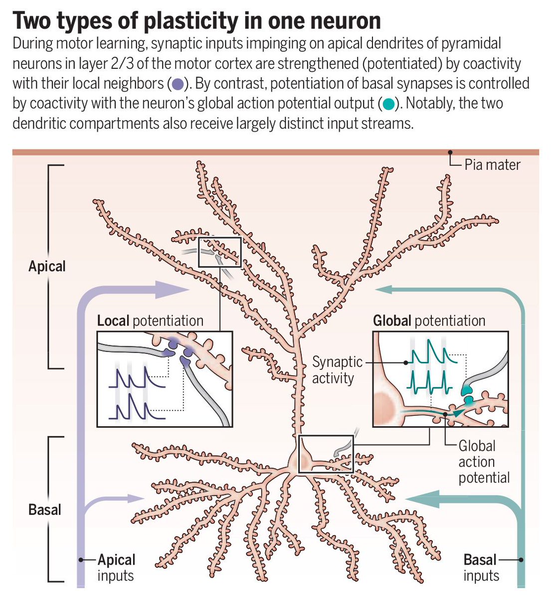 Science Magazine tweet media