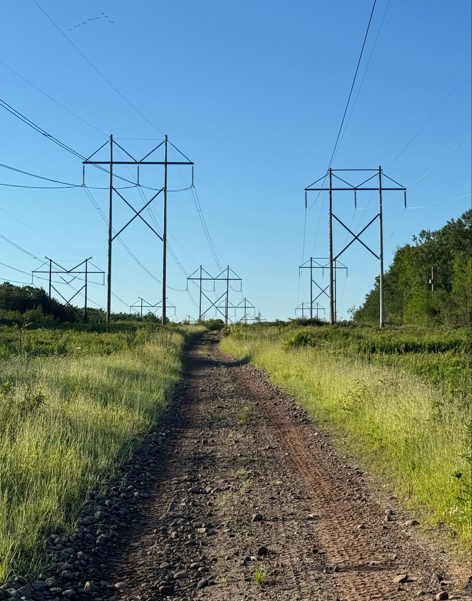 Brooke LeBlanc tweet media