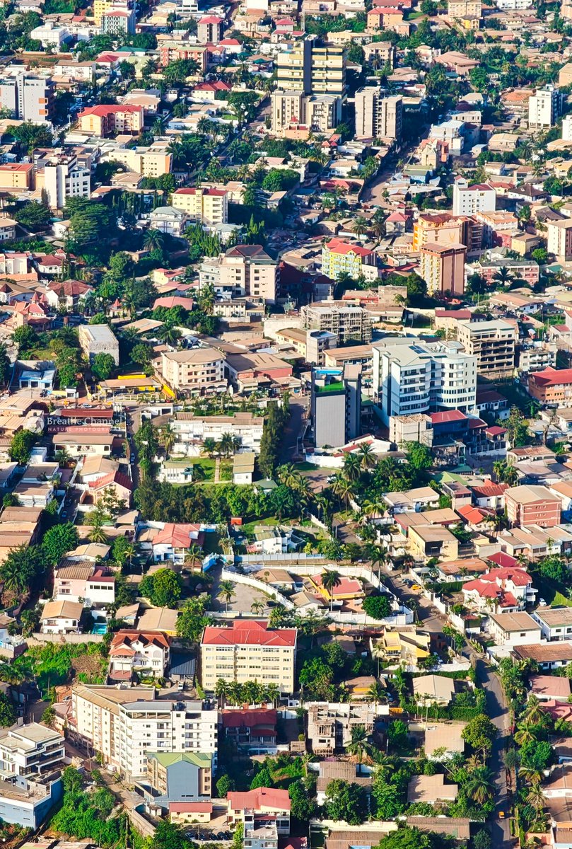 Eric Joel Manej tweet media