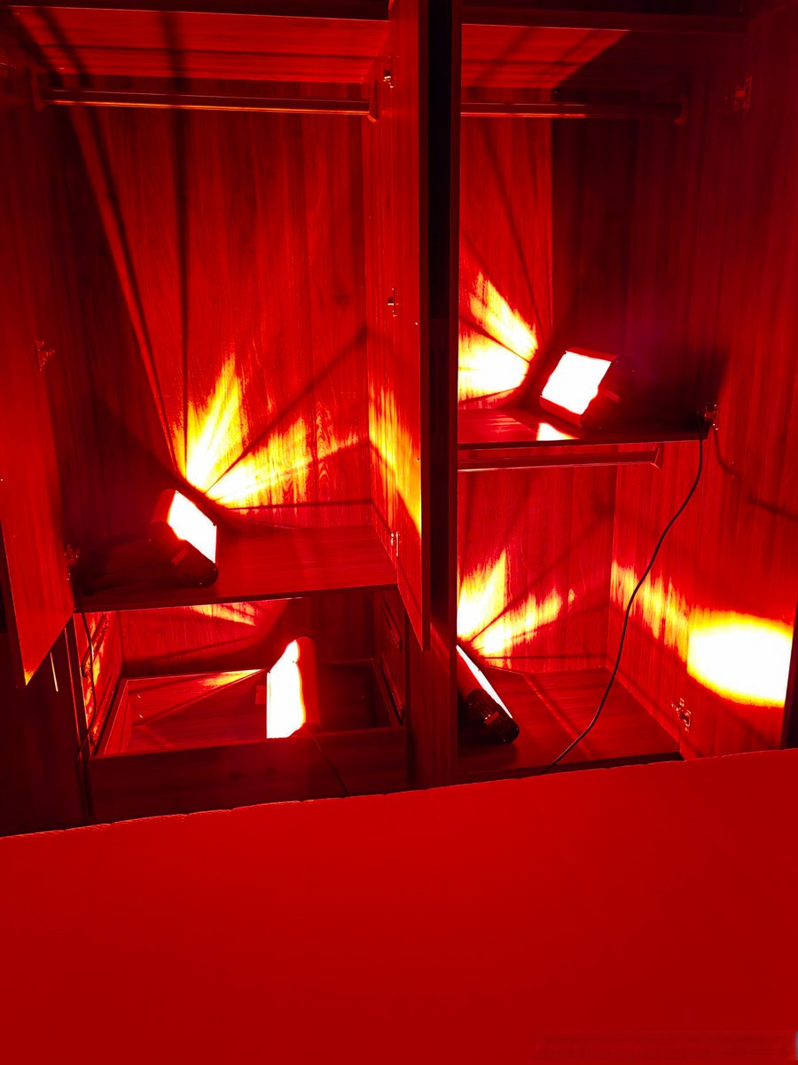 khandarmaa tweet media