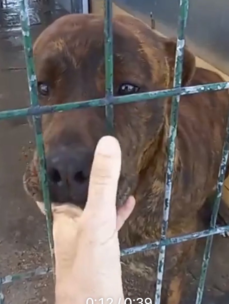 Ana Di Zacco tweet media