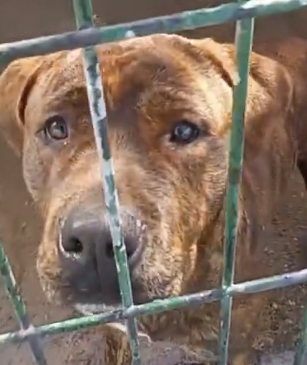 Ana Di Zacco tweet media