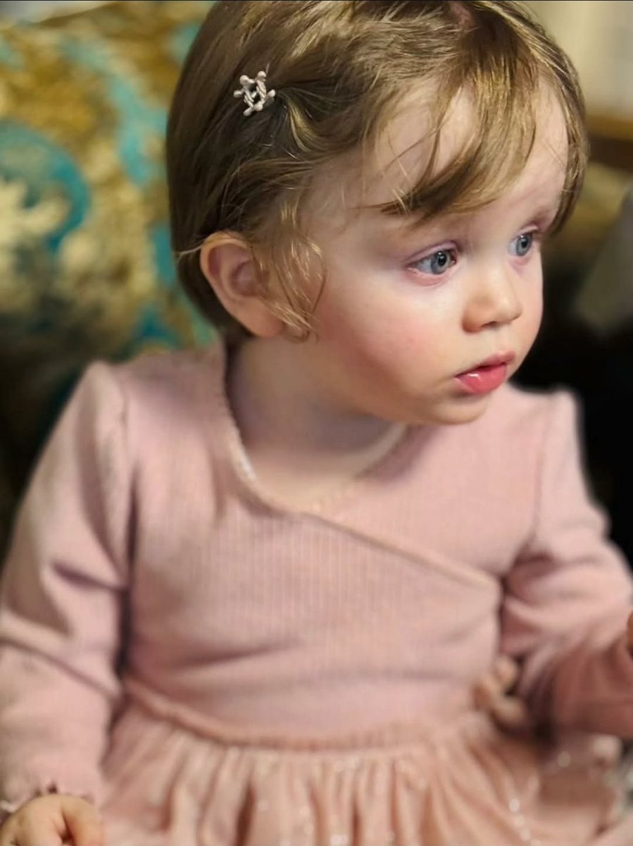 محمد جواد بابائی tweet media