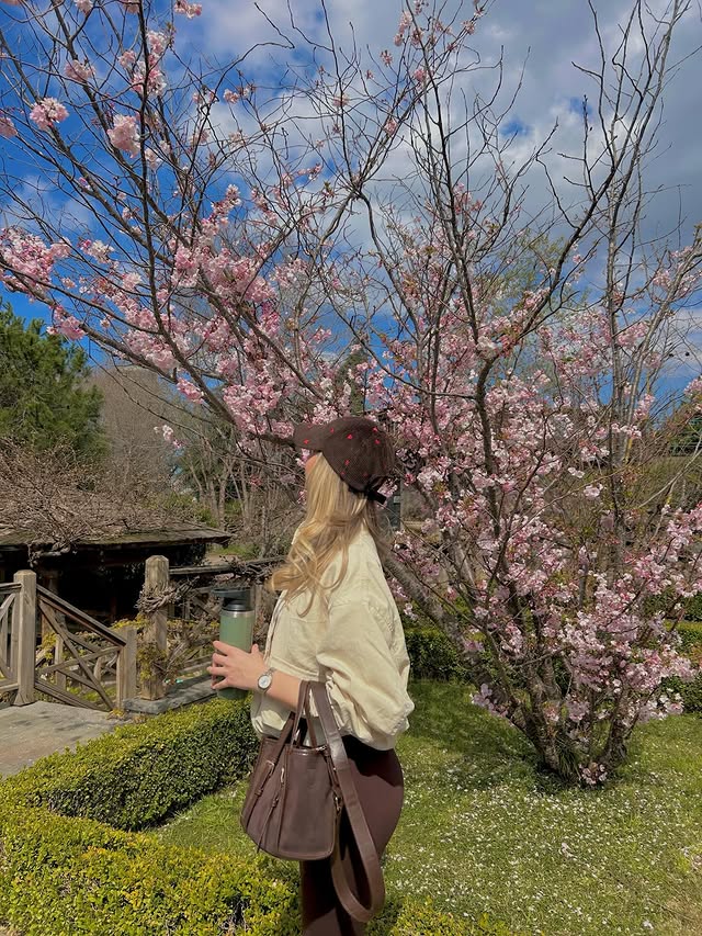 Milla_E999's tweet photo. Pink and white cherry blossoms + a gentle girl, this four-photo collage is simply divine! Spring is all about slowing down and enjoying every beautiful moment~🌿🌸

#cherryblossomphotography #springgirl #gentlelife #naturalbeauty #springdiary #cherryblossomatmosphere https://t.co/9QAUbBcNzT