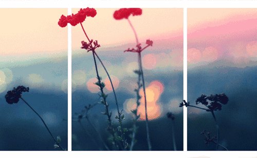 cls_dasha tweet media