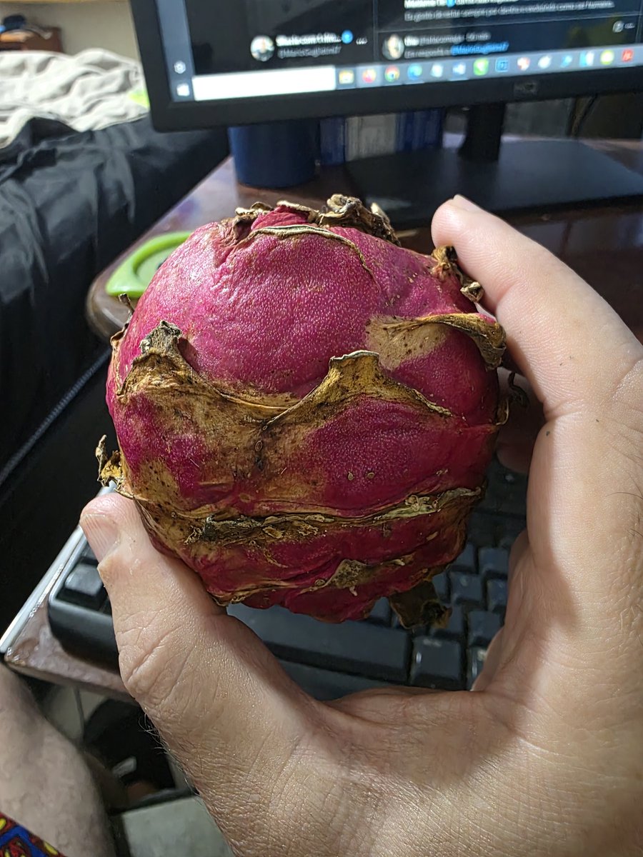 𝕸𝖆𝖗𝖎𝖔 com 1 rim 𝕲𝖚𝖌𝖑𝖎𝖊𝖑𝖒𝖎 ✠🚩🇧🇷 🦀 tweet media