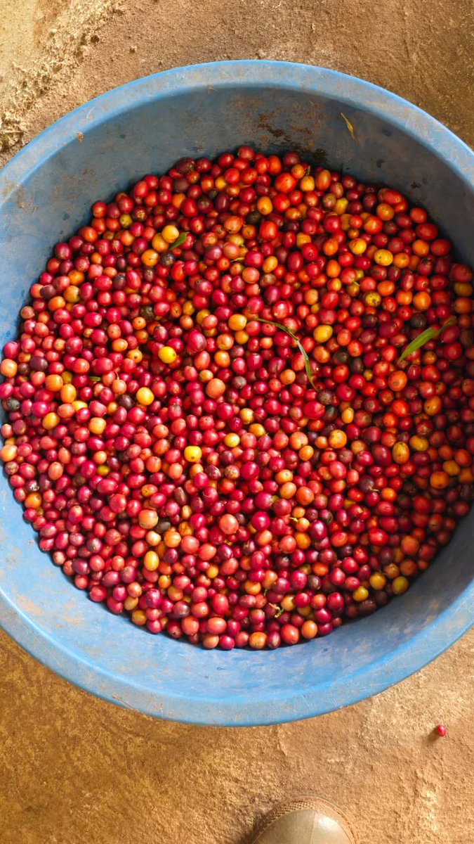 Snr. Cde. Robert Kabushenga tweet media