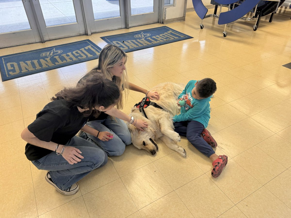 OscarTherapyDog's tweet image. Today we attended an Autism Awareness event. We made some new friends and had some great conversations. Dogs make a difference and together we can make a difference one paw at a time. #firstresponderspack #bsofr #giveback #makeadiﬀerence