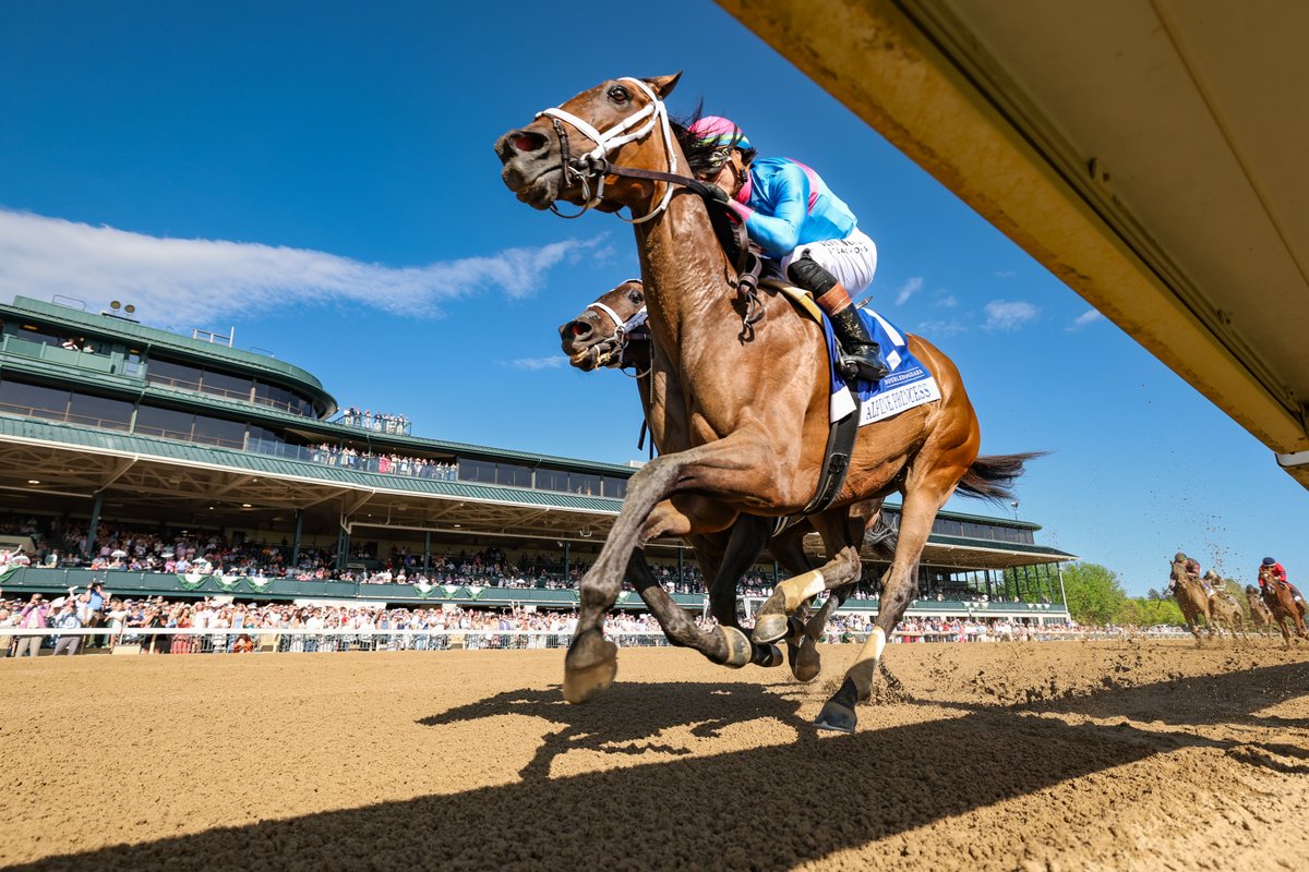 keenelandracing's tweet photo. Baird Doubledogdare Winner Alpine Princess Keeps Cox Barn on a Roll. Read #BarnNotes → https://t.co/fPwwGY8UdQ https://t.co/RjlwylOEfL