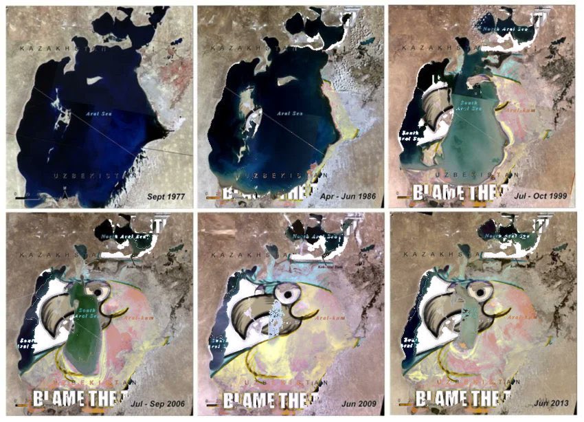 Nick ☭ 🌱 tweet media