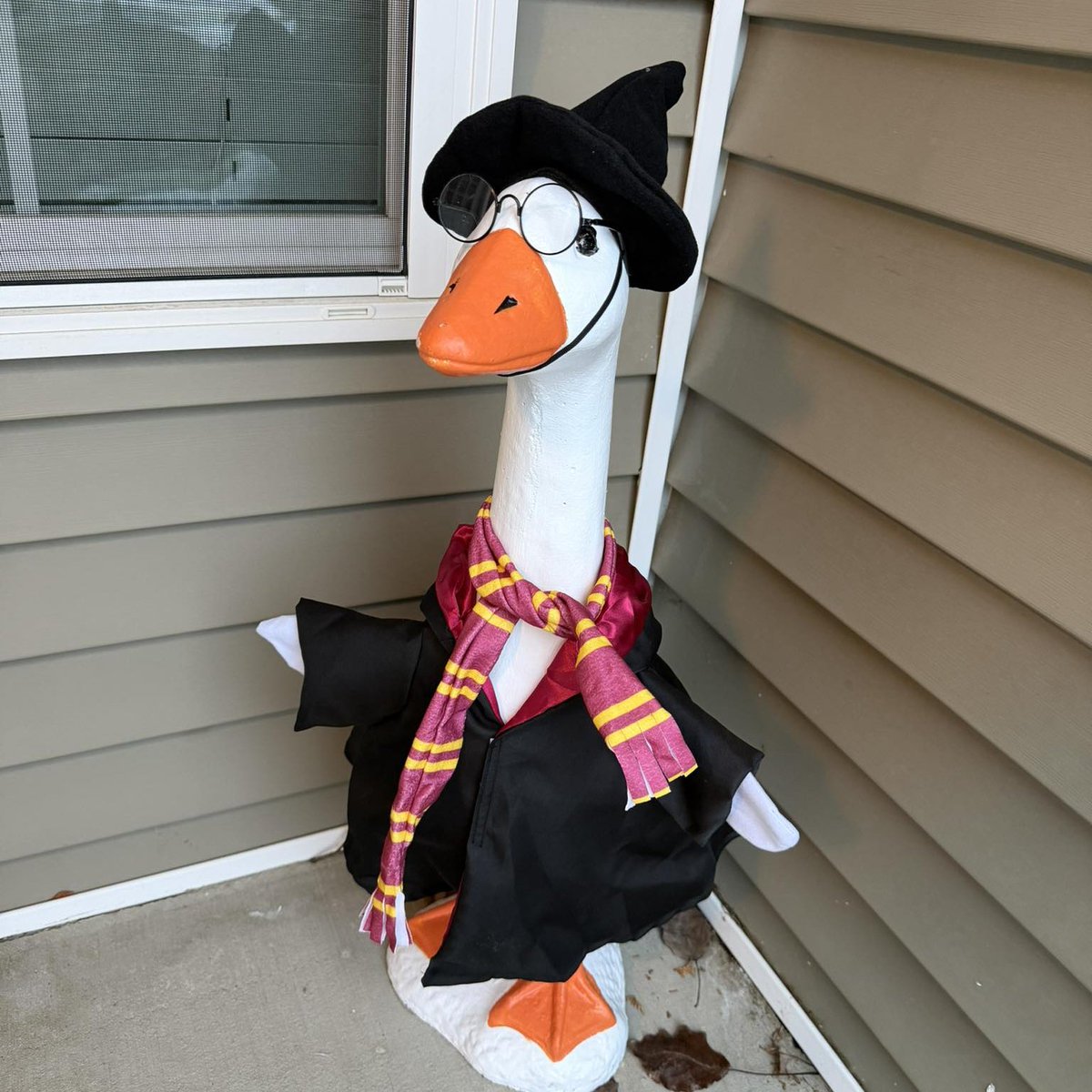 Nuttron7 tweet media