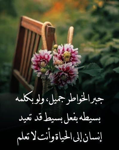 ام حازم tweet media