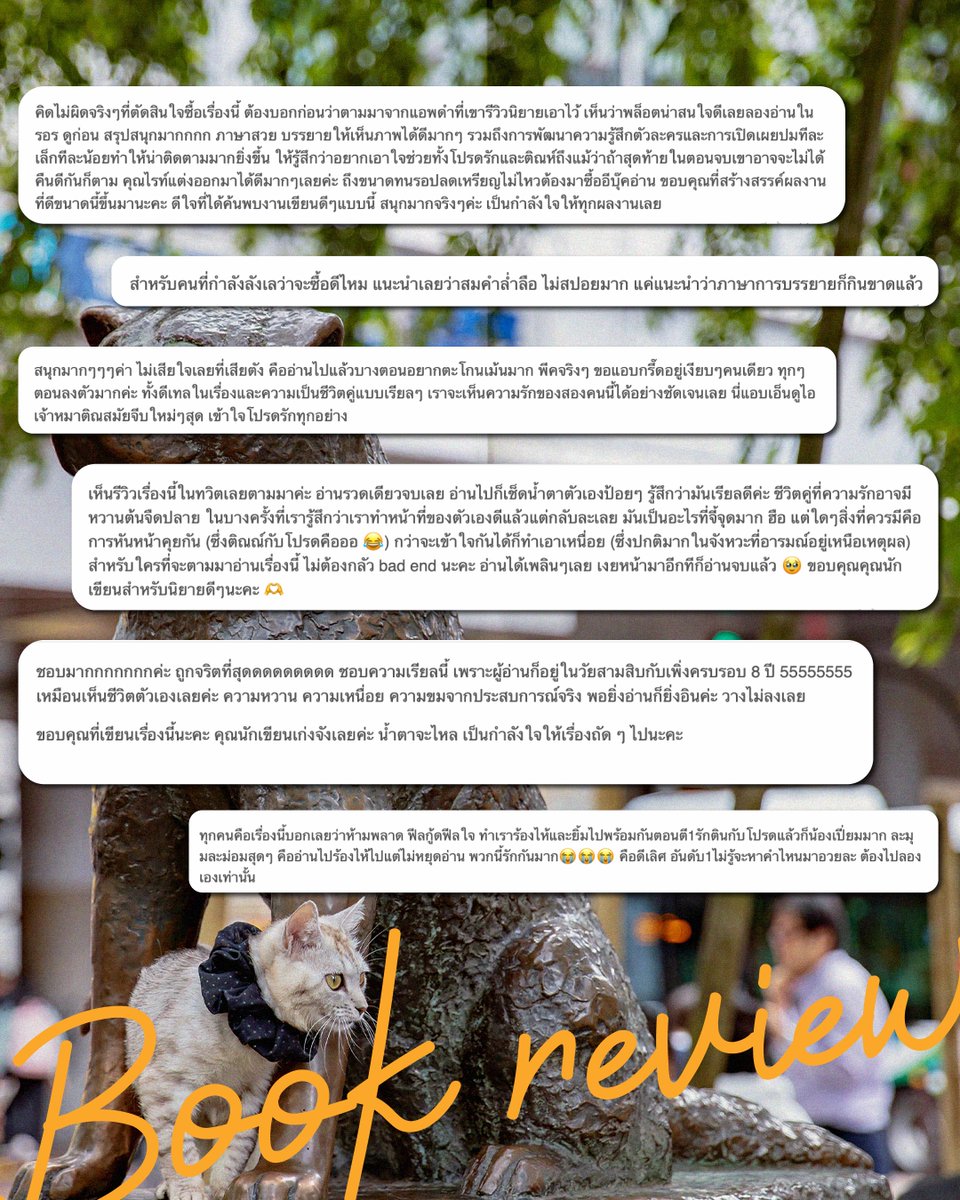 ꙳. sᴜɴɴʏʀᴀɪɴɪɴɢ ♡ *. ☘️ tweet media