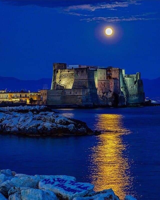 AlePol65_3's tweet image. ⭐🌟⭐ Seranotte a tutta la #family ⭐🌟⭐