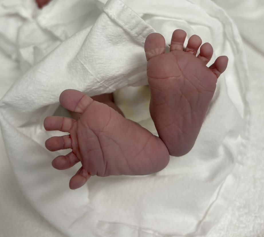 きり☺︎39w6d→0m🦖🦕🌼 tweet media