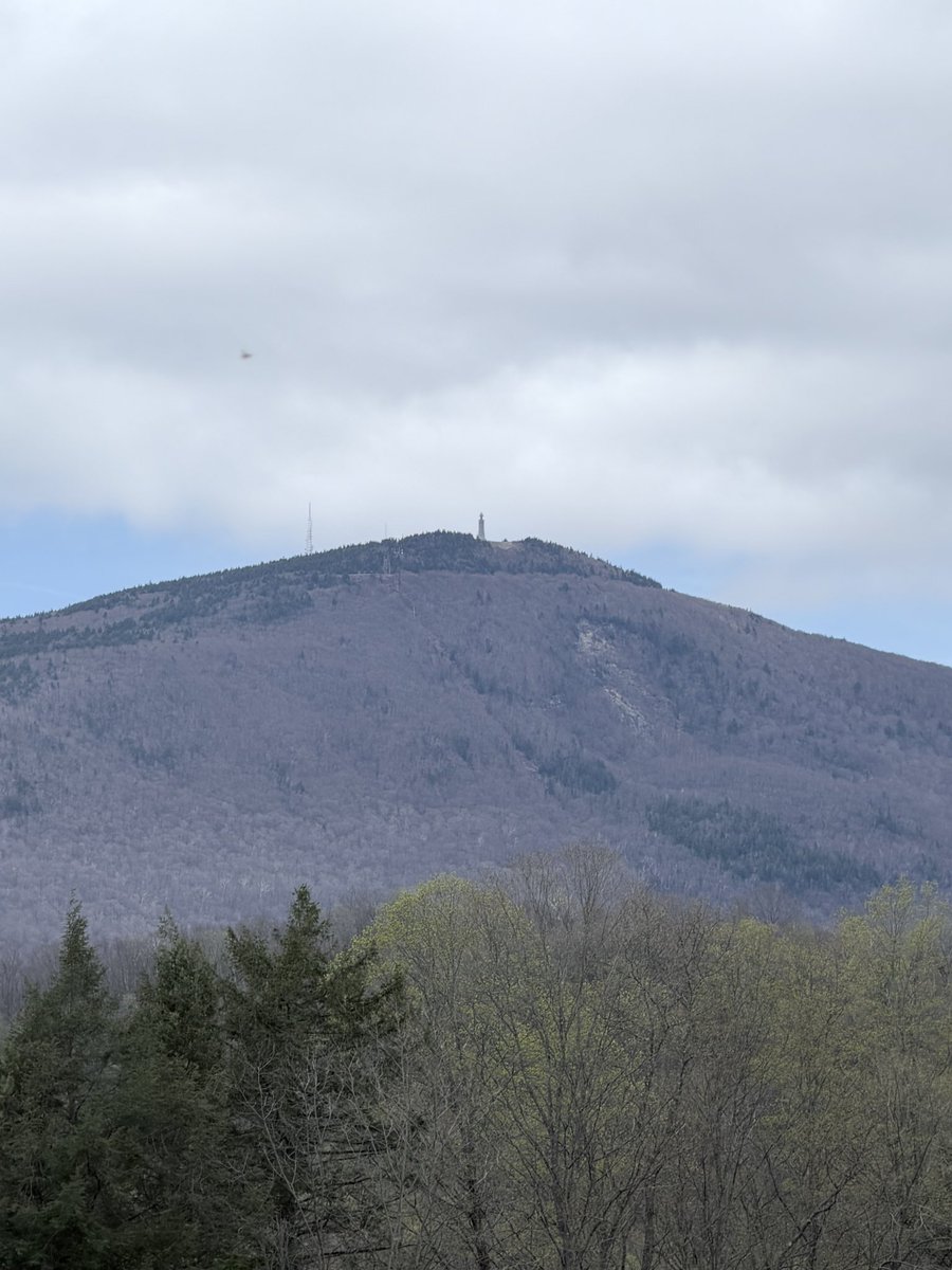 November Mike tweet media