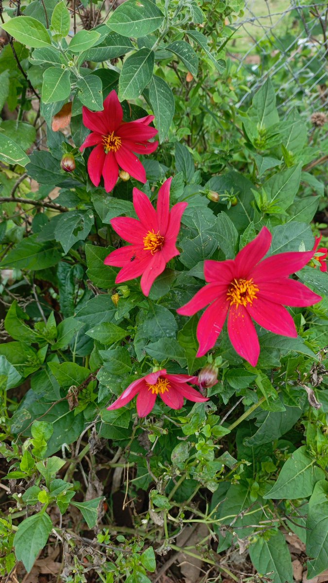 aarrrggghhhhhh!!! tweet media