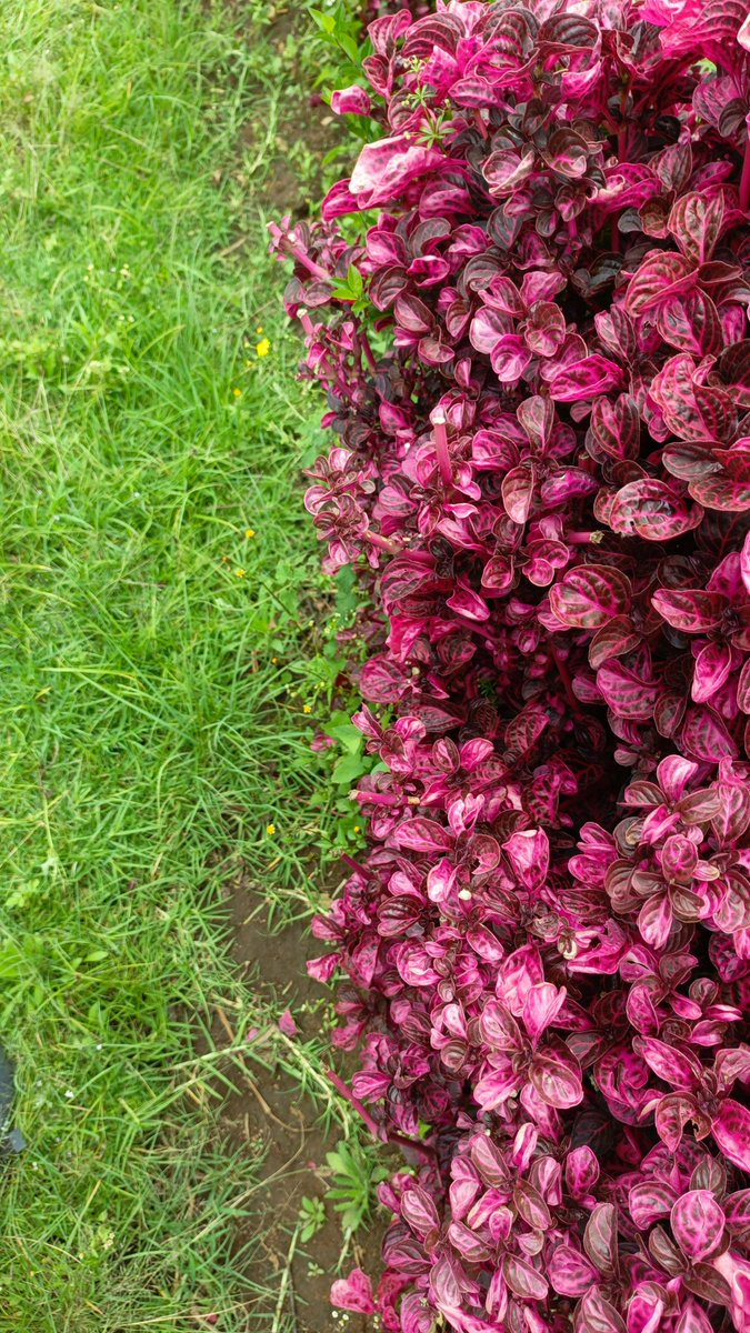 aarrrggghhhhhh!!! tweet media