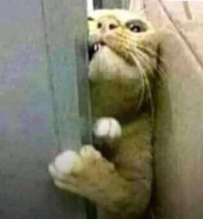 TUMUSIIME ALOYSIUS tweet media