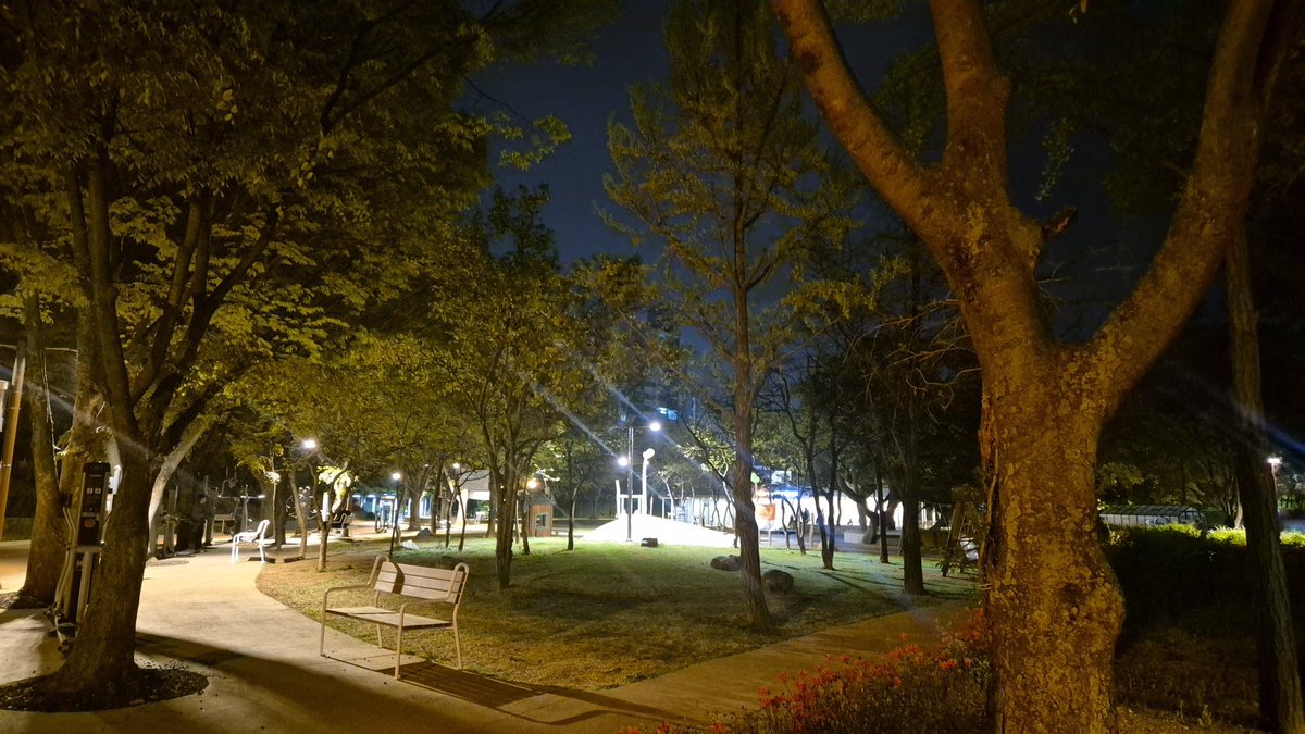 두비두기왕 tweet media