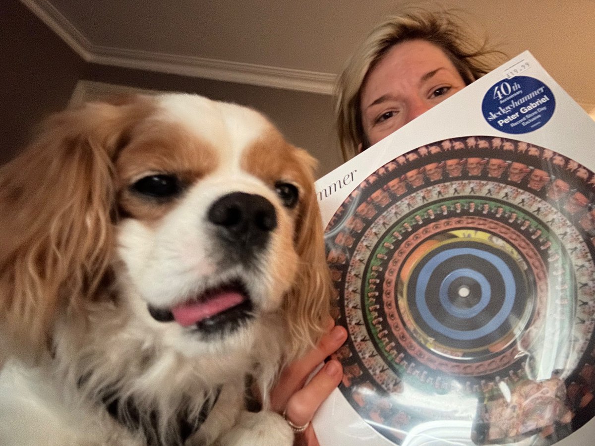 KR_NYC's tweet photo. @itspetergabriel We got our copy!  I remember being transfixed by the music video on Top of The Pops when I was 8!  @itspetergabriel #recordstoreday https://t.co/fgHd2Zufth