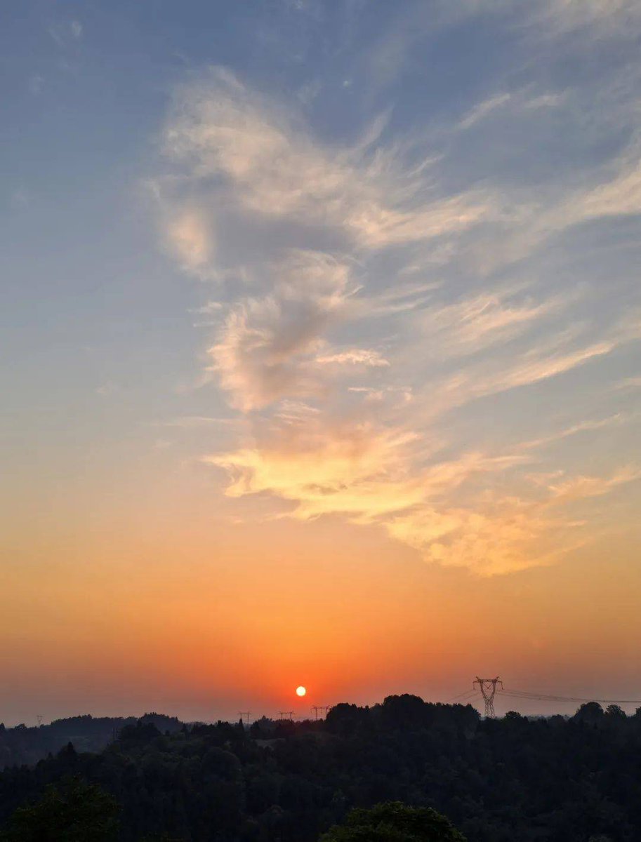 Vardar Viena tweet media