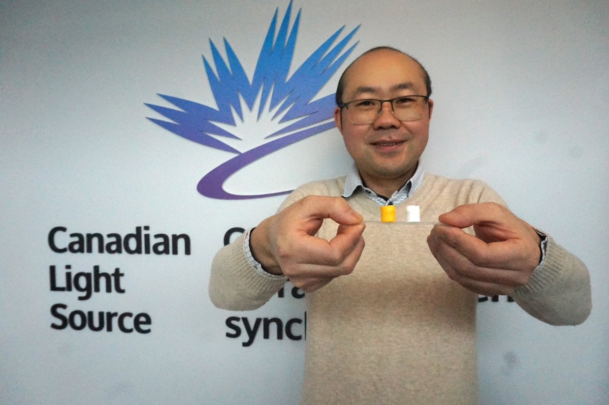 CanLightSource's tweet image. Researchers @agbiousask are using pea starch to create biogels that could help with drug delivery, health monitoring, and soft robotics. They used the CLS to better understand how these gels work: bit.ly/4bQdgBj
@NSERC_CRSNG @skgov @saskpulse @usask #ResearchInAction