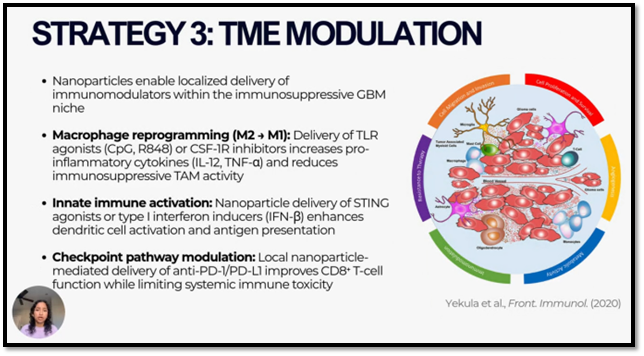 StevenBremMD's tweet image. 🧵 2/3.  Four therapeutic strategies enabled by #nanoparticles include: 1) "smart" systems that target tumor and penetrate, releasing payload at specific pH, temperature, or enzymatic activity; 2) #RNA and gene therapies; 3) #TME modulation; 4) in vivo #CAR generation.