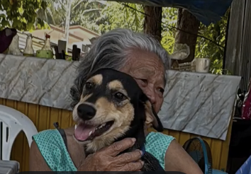 sweetleaf tweet media