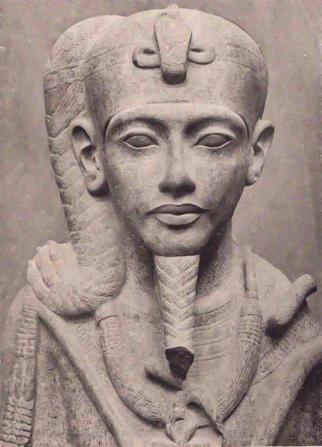 𓂀 Nefertiti : Nile Tales 𓅓 tweet media