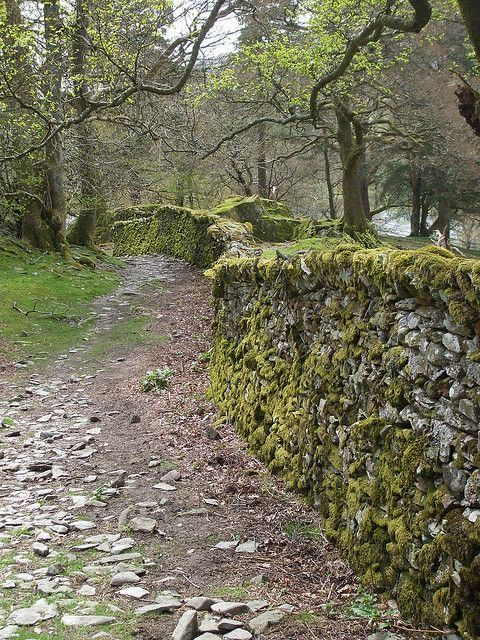 only aesthetic tweet media