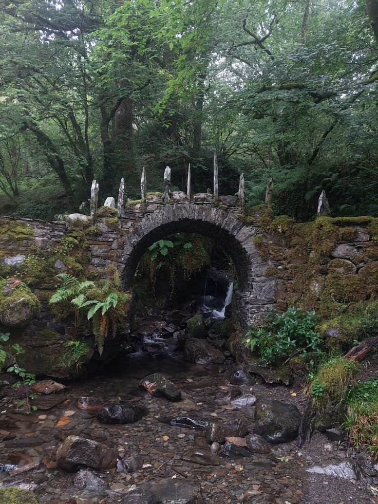 only aesthetic tweet media