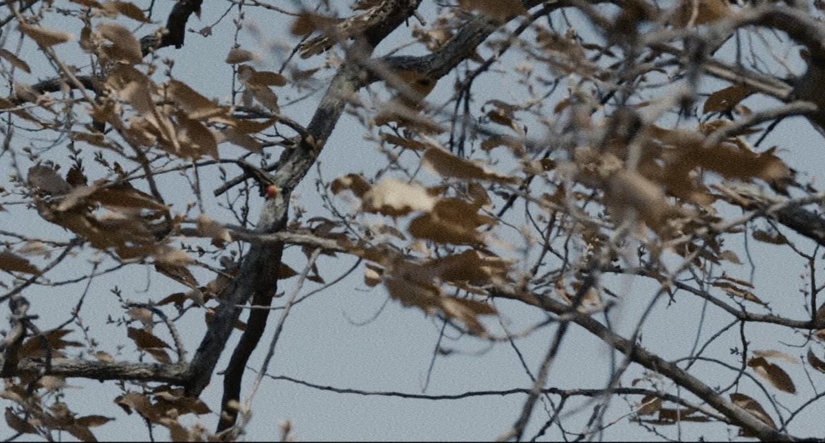 yonflm★ tweet media