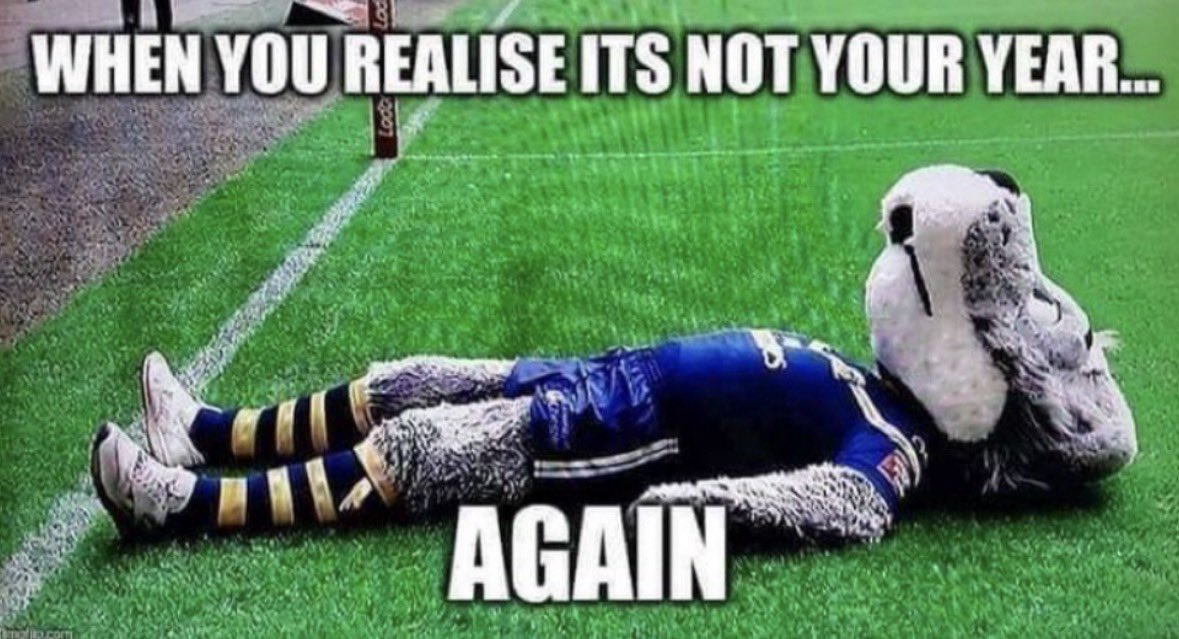 Max🏴󠁧󠁢󠁥󠁮󠁧󠁿 tweet media