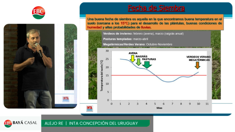 agrositio's tweet photo. Más carne a menos costo: el secreto empieza en la implantación de Pasturas; con Alejo Re - INTA
#ganadería #pasturas @intaargentina
https://t.co/a5yPp1PejA https://t.co/FTOn4zJrZz