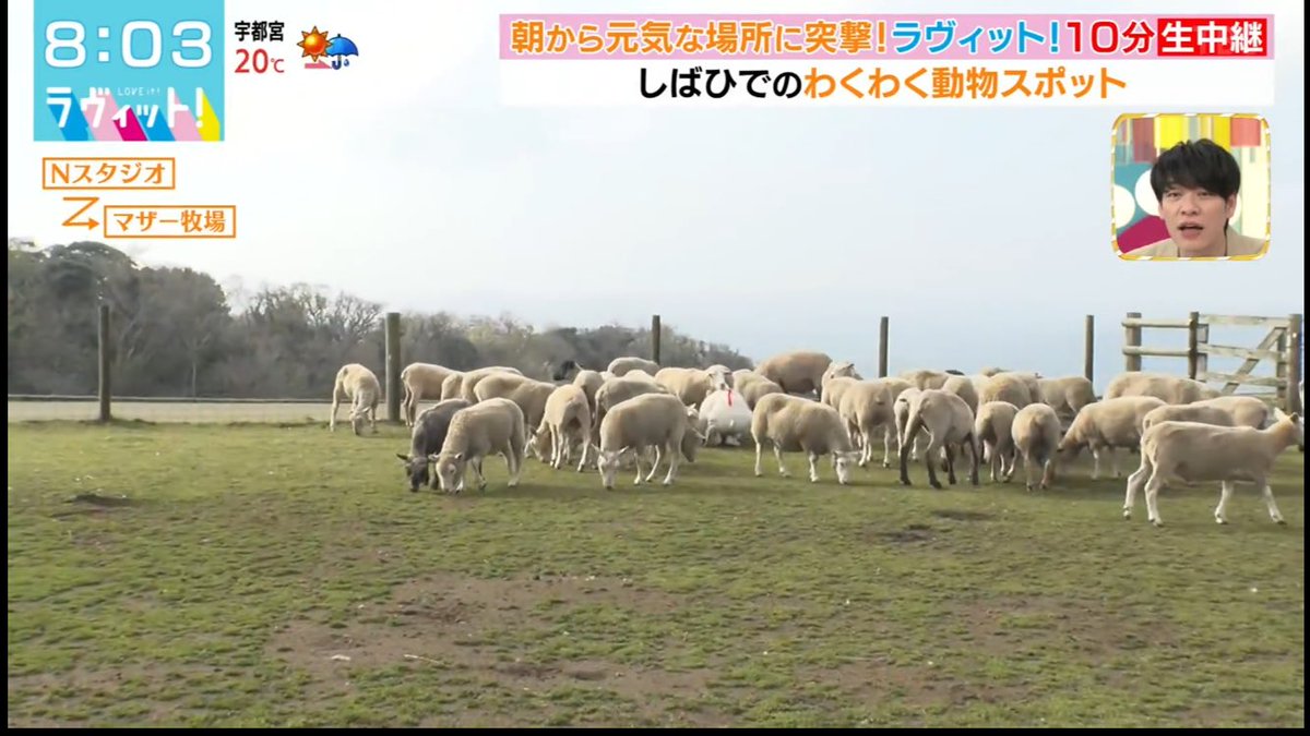 くらら tweet media