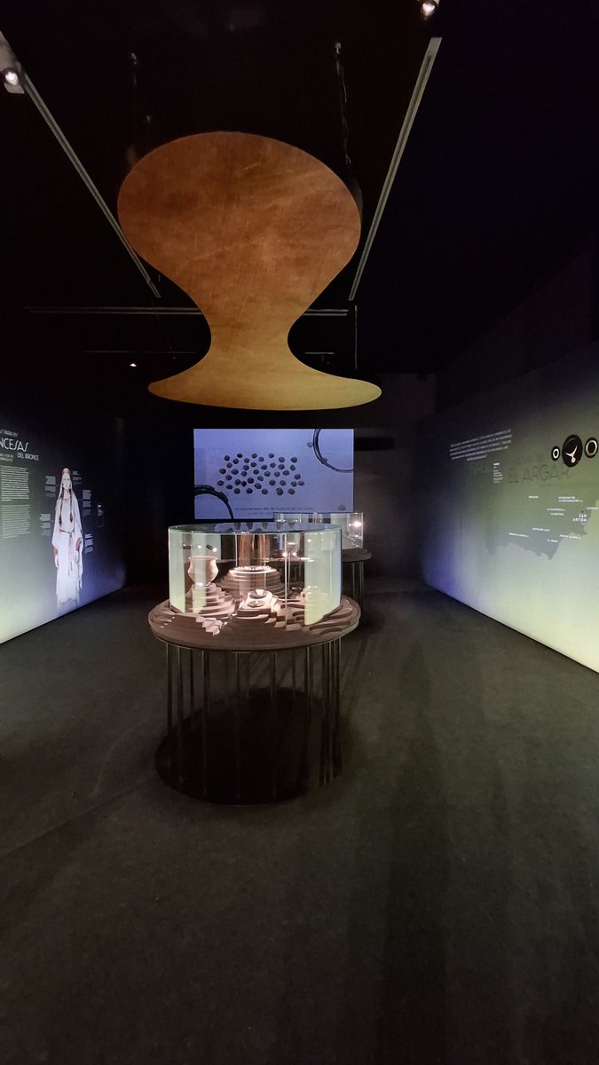 Expo_Temporal tweet media