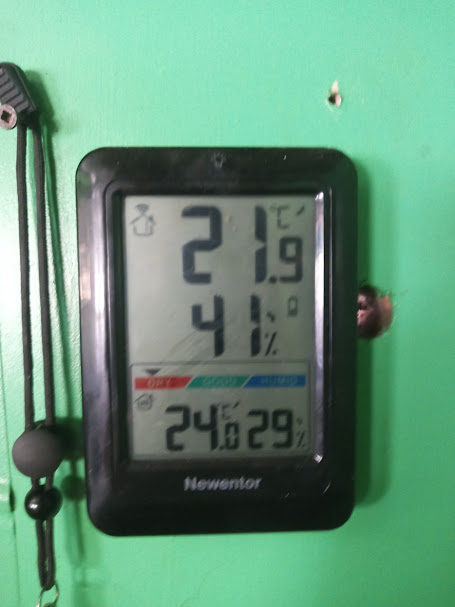 leo wood tweet media